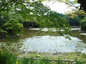 龍安寺・鏡容池2.jpg