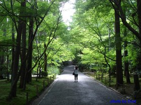 龍安寺境内1.jpg