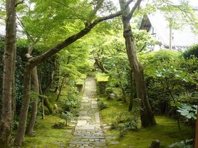 龍安寺境内2.jpg