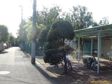 和田堀公園プール0905A.jpg