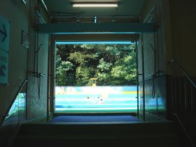 和田堀公園プール2.jpg