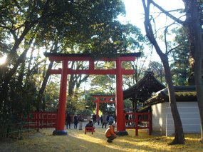 糺の森、河合神社1.jpg