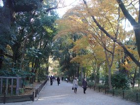 糺の森、参道.jpg