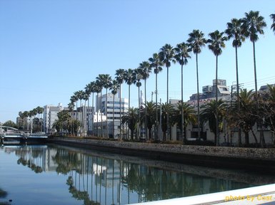 kochi20100104.jpg