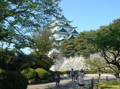 nagoya-c.jpg