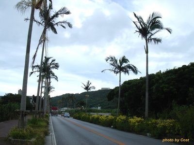 okinawa-2010.jpg