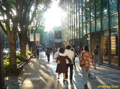 omotesando.jpg