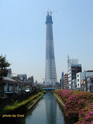 sky-tower.jpg