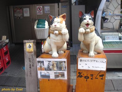 yanaka-ginza-234b.jpg