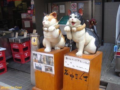 yanakaginza.jpg