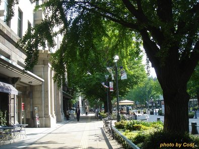 yokohama-3.jpg