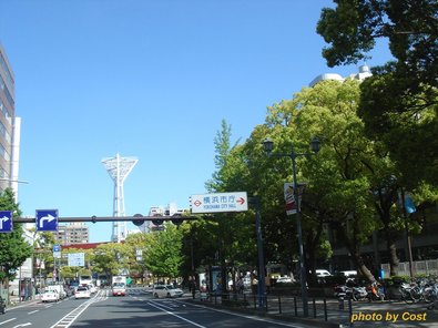 yokohama2010.jpg